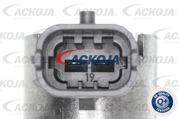 Hochdruckpumpe ACKOJAP A52-25-0005 2
