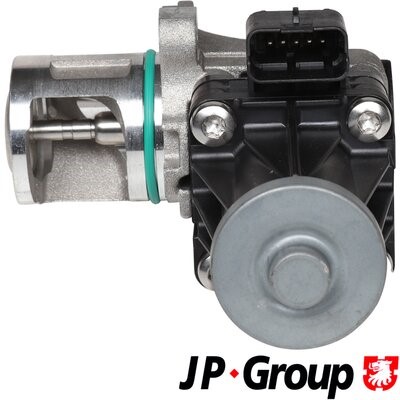 AGR-Ventil JP Group 1519900700 2