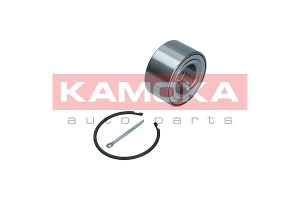 Radlagersatz KAMOKA 5600195 2