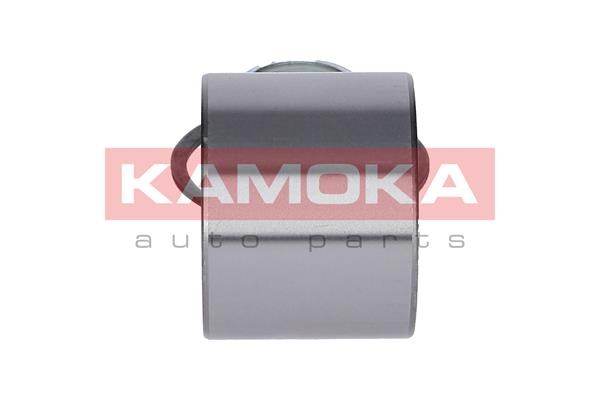 Radlagersatz KAMOKA 5600065 4