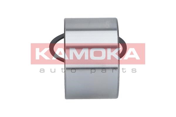 Radlagersatz KAMOKA 5600045 4