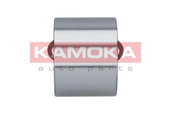Radlagersatz KAMOKA 5600066 4