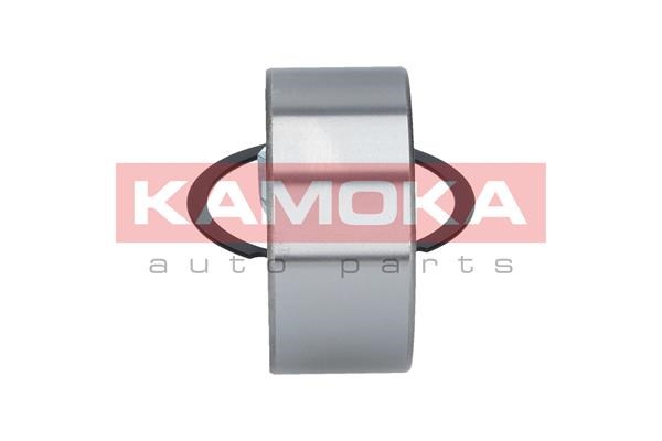 Radlagersatz KAMOKA 5600085 4