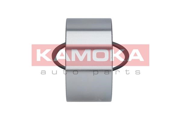 Radlagersatz KAMOKA 5600089 4