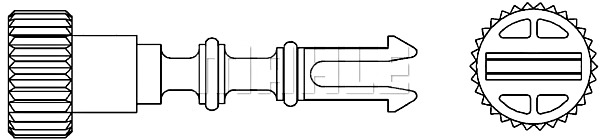 Schraube, Kühlerverschluss MAHLE CRX52000P 2