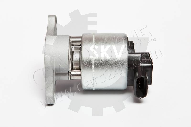AGR-Ventil SKV Germany 14SKV042 2