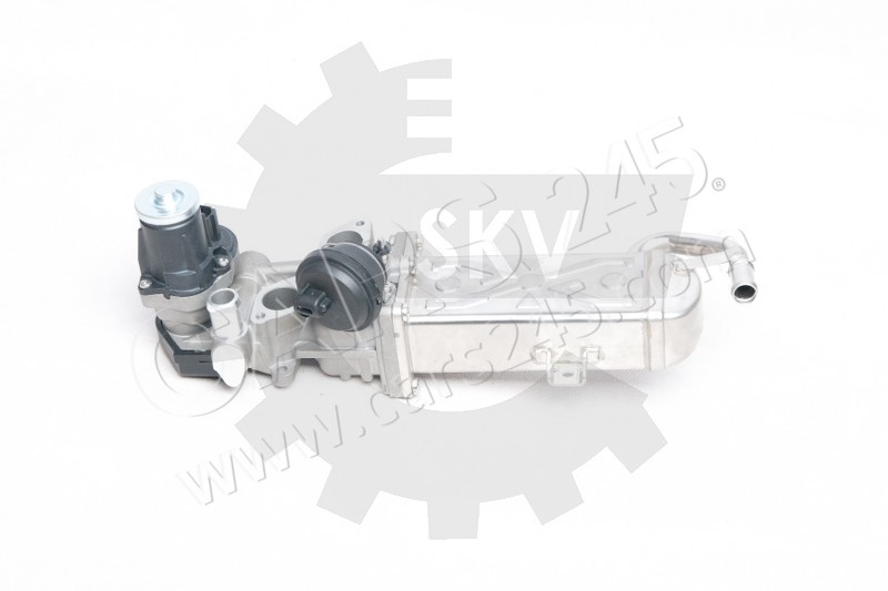 AGR-Ventil SKV Germany 14SKV094 2