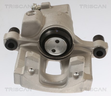Bremssattel TRISCAN 817525202