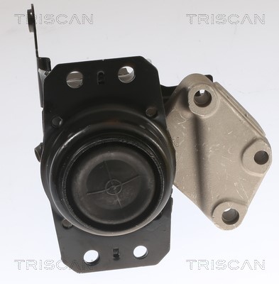 Lagerung, Automatikgetriebe TRISCAN 850511208