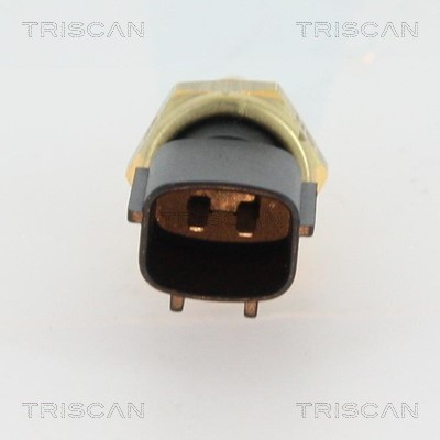 Sensor, Kühlmitteltemperatur TRISCAN 862610028 2