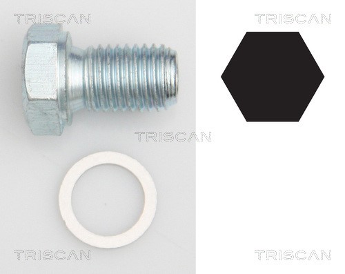 Verschlussschraube, Ölwanne TRISCAN 95001101