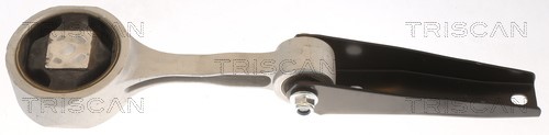Lagerung, Motor TRISCAN 850529102
