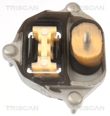 Lagerung, Automatikgetriebe TRISCAN 850529218