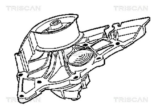 Wasserpumpe, Motorkühlung TRISCAN 860029004 2