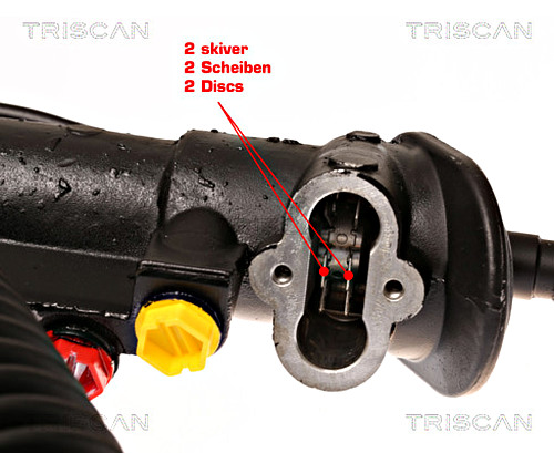 Lenkgetriebe TRISCAN 851029437