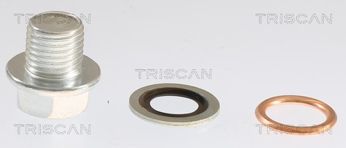 Verschlussschraube, Ölwanne TRISCAN 95001001 2