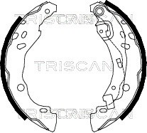 Bremsbackensatz TRISCAN 810025001