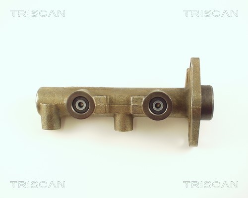Hauptbremszylinder TRISCAN 813065101