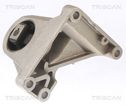Lagerung, Schaltgetriebe TRISCAN 850529200