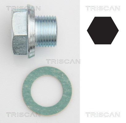 Verschlussschraube, Ölwanne TRISCAN 95001301