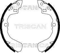Bremsbackensatz TRISCAN 810010524