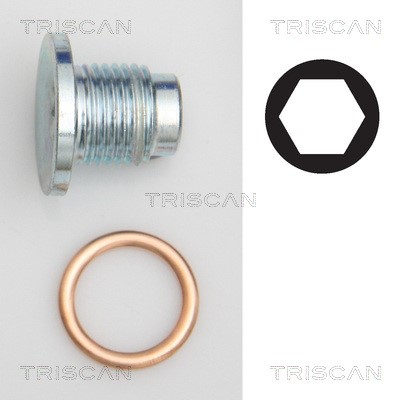 Verschlussschraube, Ölwanne TRISCAN 95001019