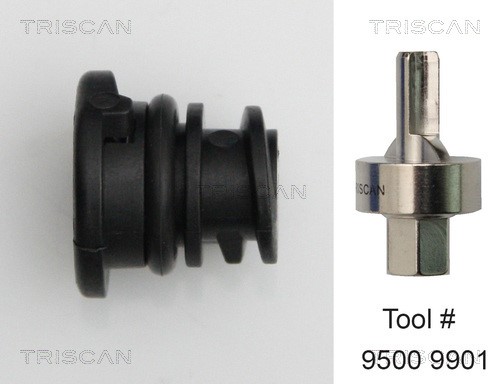 Verschlussschraube, Ölwanne TRISCAN 95002901