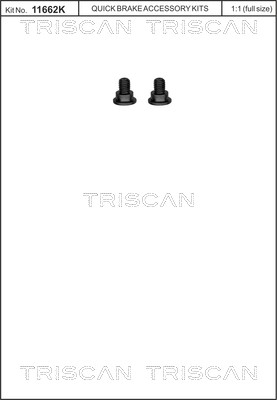 Schraubensatz, Bremsscheibe TRISCAN 8105116003