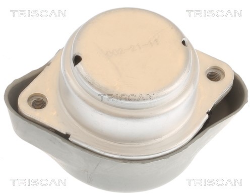 Lagerung, Automatikgetriebe TRISCAN 850529201