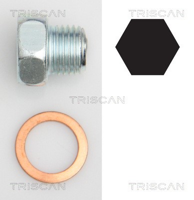 Verschlussschraube, Ölwanne TRISCAN 95002404