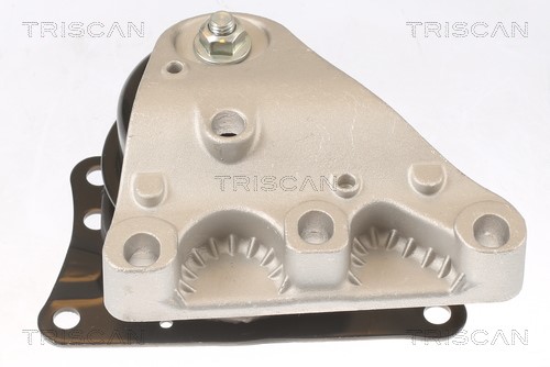 Lagerung, Motor TRISCAN 850529110