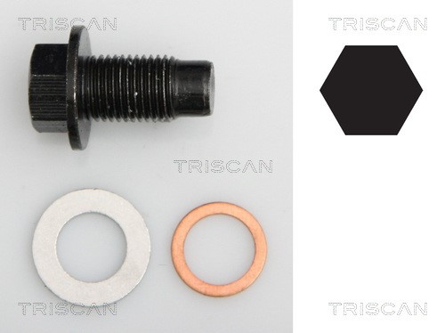 Verschlussschraube, Ölwanne TRISCAN 95001020