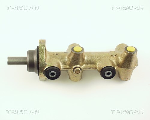 Hauptbremszylinder TRISCAN 813029100