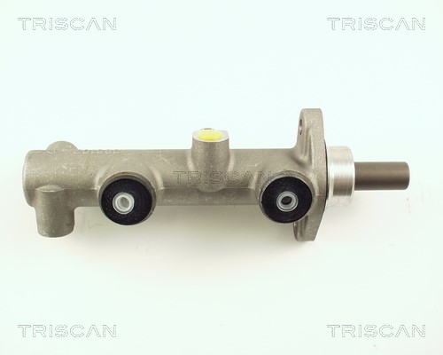 Hauptbremszylinder TRISCAN 813029105