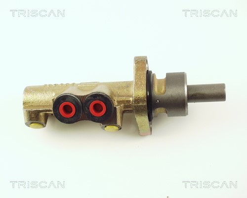 Hauptbremszylinder TRISCAN 813027106