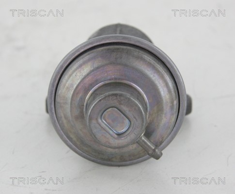 AGR-Ventil TRISCAN 881325006 2