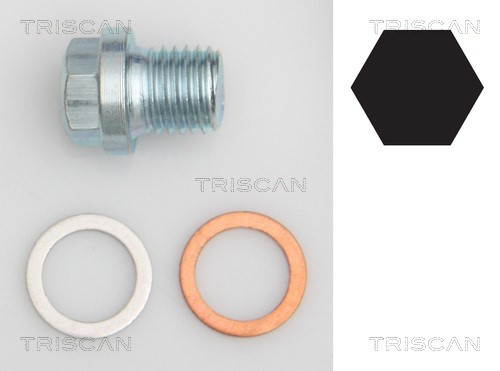 Verschlussschraube, Ölwanne TRISCAN 95001011
