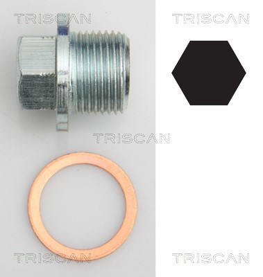Verschlussschraube, Ölwanne TRISCAN 95001022