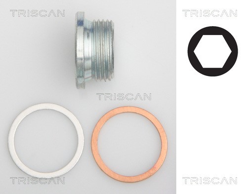 Verschlussschraube, Ölwanne TRISCAN 95001018