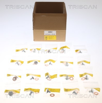 Verschlussschraube, Ölwanne TRISCAN 95001010-20 2