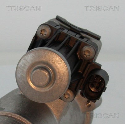AGR-Ventil TRISCAN 881327102 2
