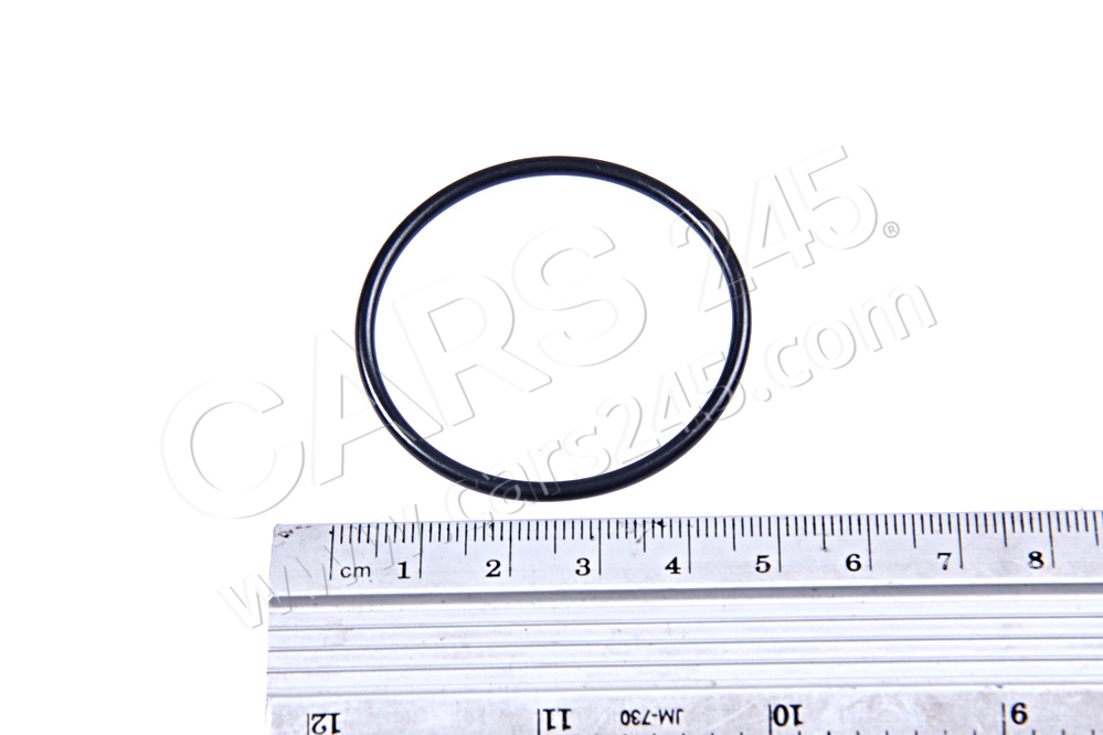 O-Ring AUDI / VOLKSWAGEN WHT005499A 2