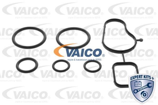 Wasserpumpe, Motorkühlung VAICO V10-50115 2