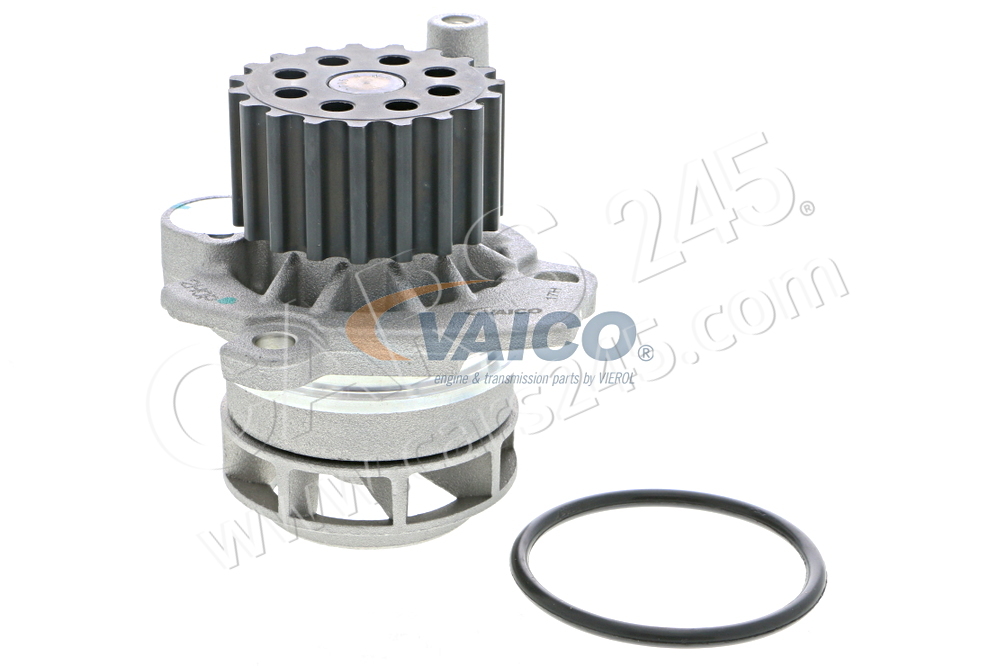 Wasserpumpe, Motorkühlung VAICO V10-50073-1