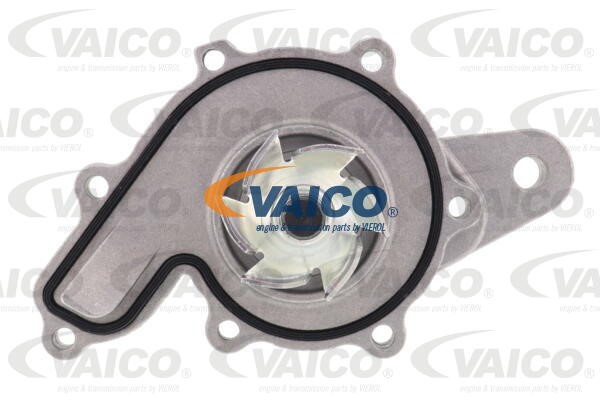 Wasserpumpe, Motorkühlung VAICO V30-50087 3