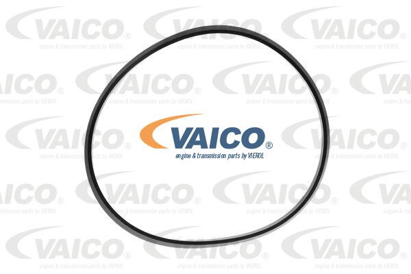 Kraftstofffilter VAICO V25-1647 2