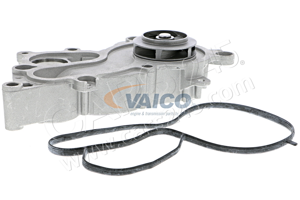 Wasserpumpe, Motorkühlung VAICO V10-50093