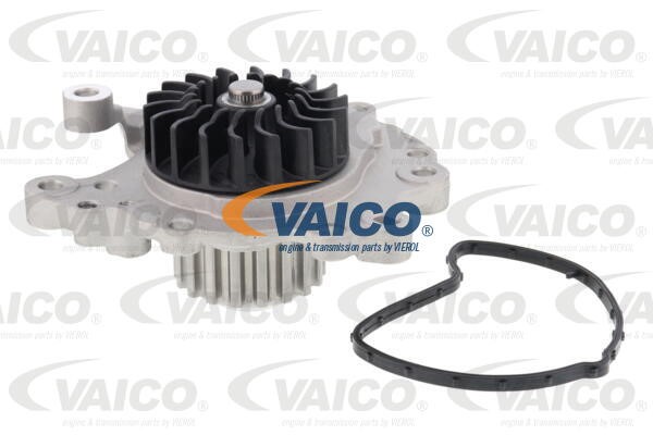 Wasserpumpe, Motorkühlung VAICO V22-50029