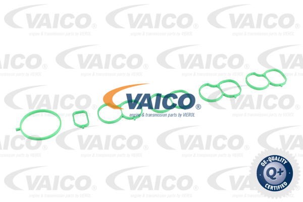Saugrohrmodul VAICO V24-0990 2