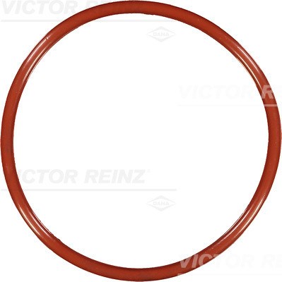 Dichtring VICTOR REINZ 407654100